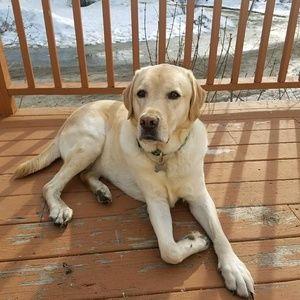 Meet your Posher, Meghan